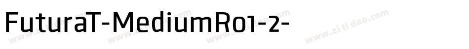 FuturaT-MediumRo1-2字体转换