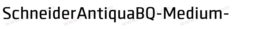 SchneiderAntiquaBQ-Medium字体转换