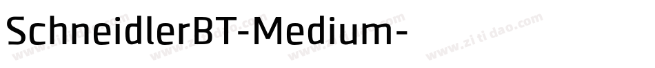SchneidlerBT-Medium字体转换