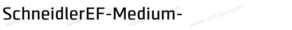 SchneidlerEF-Medium字体转换 SchneidlerEF-Medium字体转换