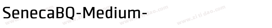 SenecaBQ-Medium字体转换