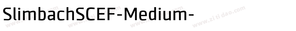 SlimbachSCEF-Medium字体转换