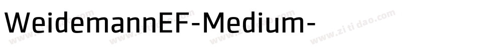 WeidemannEF-Medium字体转换