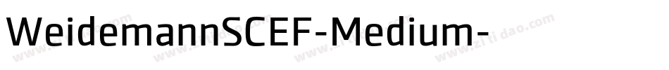 WeidemannSCEF-Medium字体转换