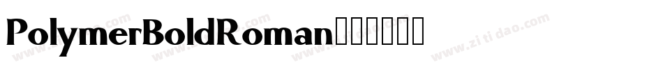PolymerBoldRoman字体转换