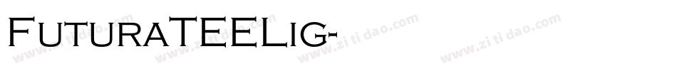 FuturaTEELig字体转换