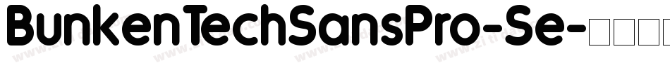 BunkenTechSansPro-Se字体转换