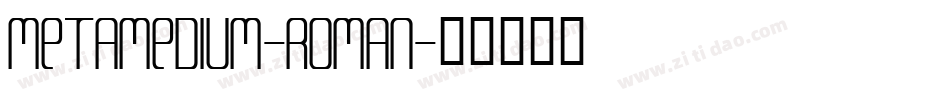 MetaMedium-Roman字体转换