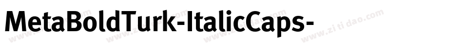 MetaBoldTurk-ItalicCaps字体转换