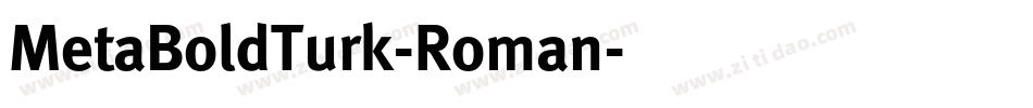 MetaBoldTurk-Roman字体转换