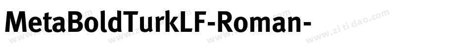 MetaBoldTurkLF-Roman字体转换