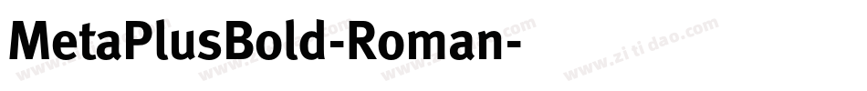 MetaPlusBold-Roman字体转换
