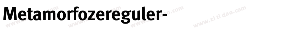 Metamorfozereguler字体转换