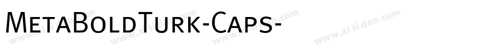 MetaBoldTurk-Caps字体转换