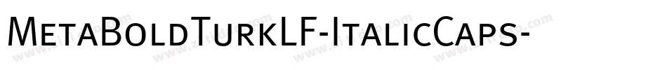 MetaBoldTurkLF-ItalicCaps字体转换