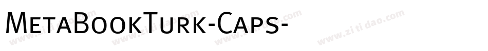 MetaBookTurk-Caps字体转换