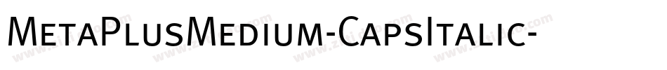 MetaPlusMedium-CapsItalic字体转换