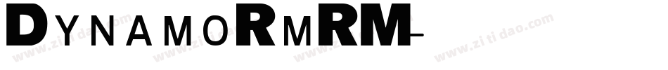 DynamoRmRM字体转换