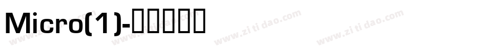 Micro(1)字体转换