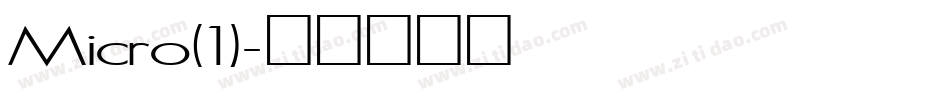 Micro(1)字体转换