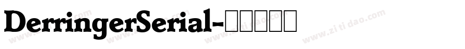 DerringerSerial字体转换