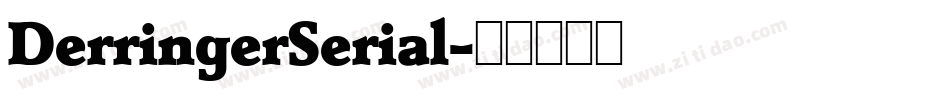 DerringerSerial字体转换