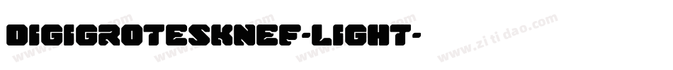 DigiGroteskNEF-Light字体转换
