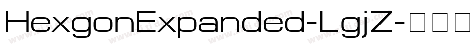 HexgonExpanded-LgjZ字体转换