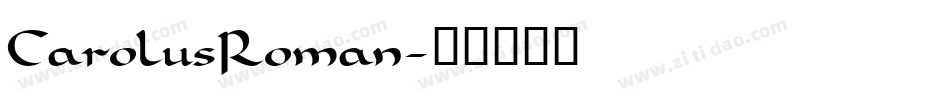 CarolusRoman字体转换