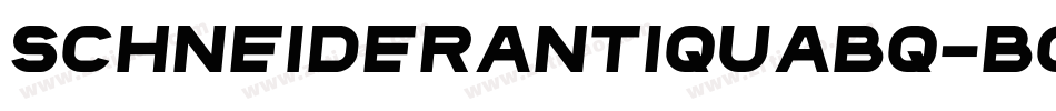 SchneiderAntiquaBQ-BoldItalic字体转换