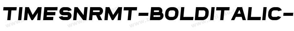 TimesNRMT-BoldItalic字体转换