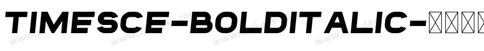 TimesCE-BoldItalic字体转换