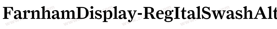 FarnhamDisplay-RegItalSwashAlt字体转换