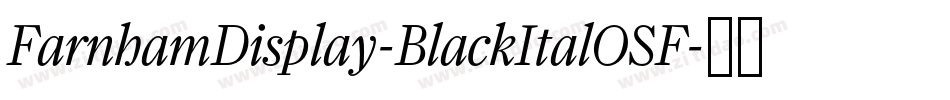 FarnhamDisplay-BlackItalOSF字体转换