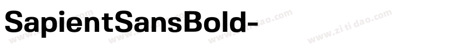 SapientSansBold字体转换