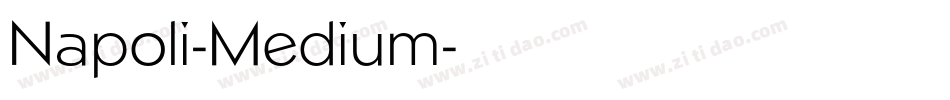 Napoli-Medium字体转换