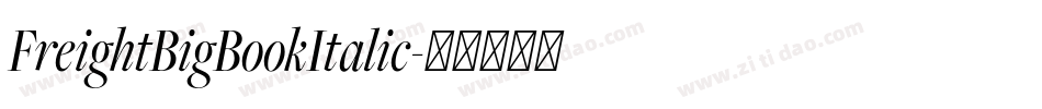 FreightBigBookItalic字体转换