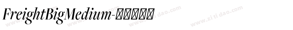 FreightBigMedium字体转换