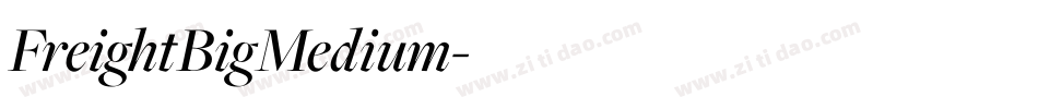 FreightBigMedium字体转换