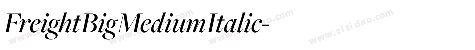 FreightBigMediumItalic字体转换