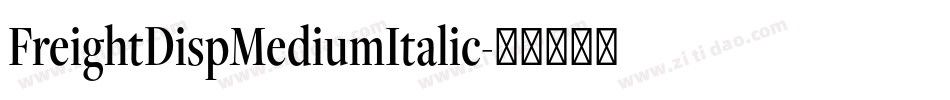FreightDispMediumItalic字体转换