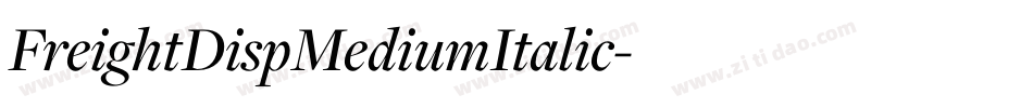 FreightDispMediumItalic字体转换