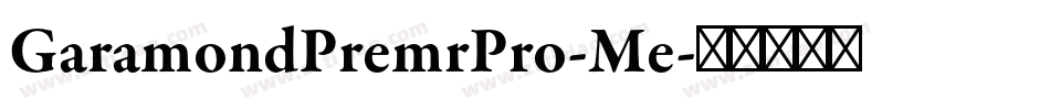 GaramondPremrPro-Me字体转换