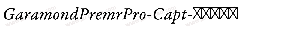 GaramondPremrPro-Capt字体转换
