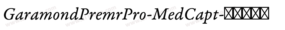 GaramondPremrPro-MedCapt字体转换