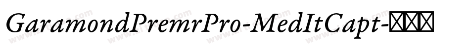 GaramondPremrPro-MedItCapt字体转换
