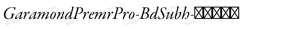 GaramondPremrPro-BdSubh字体转换