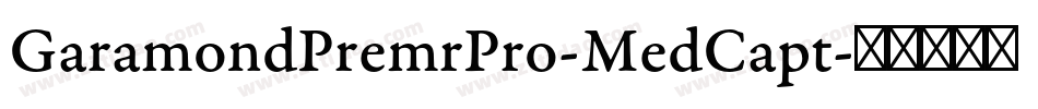 GaramondPremrPro-MedCapt字体转换