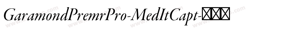 GaramondPremrPro-MedItCapt字体转换