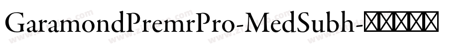 GaramondPremrPro-MedSubh字体转换